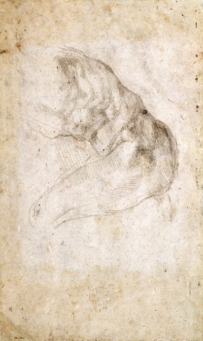 Estudio para La Creación de Adán (verso) de Michelangelo Buonarroti